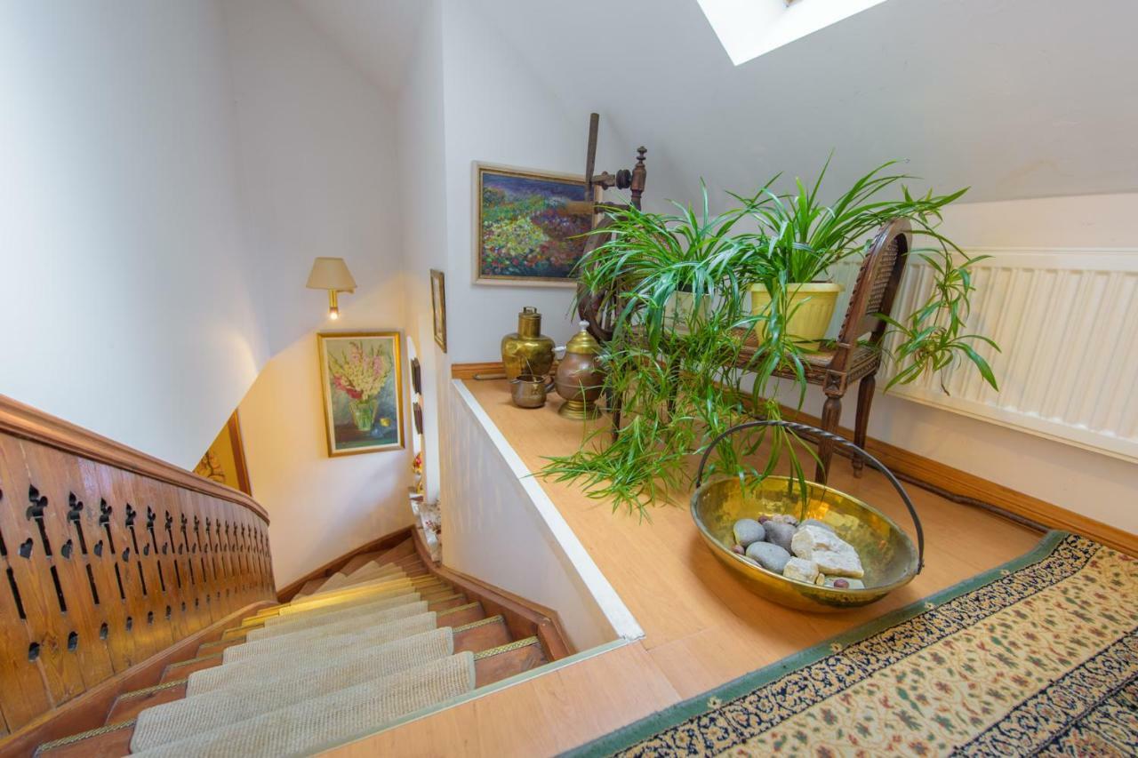 Villa Parkowa 5 Świeradów-Zdrój Eksteriør bilde